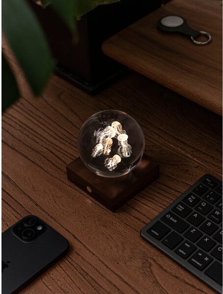 Tmavohnedá svetelná dekorácia na USB Amber – Gingko