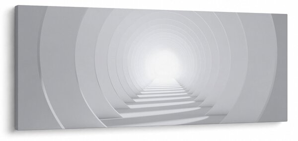 Obraz - 3D tunel (120x50 cm)