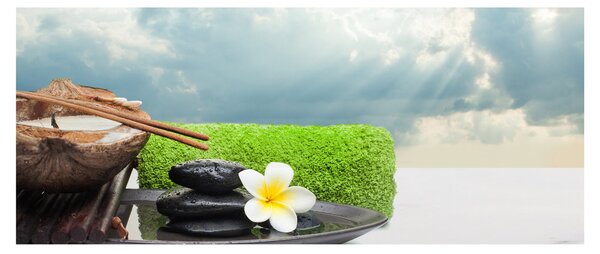 Obraz - Spa and relax (120x50 cm)