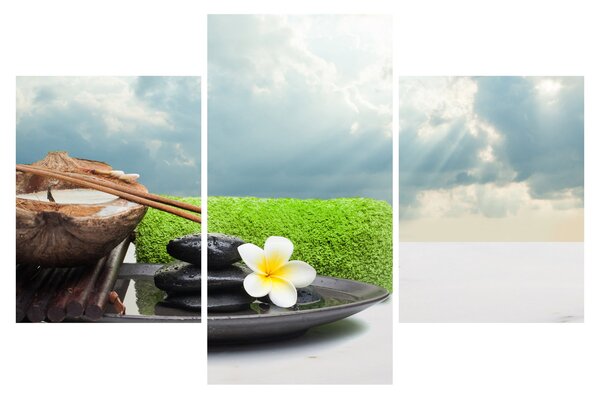Obraz - Spa and relax (90x60 cm)