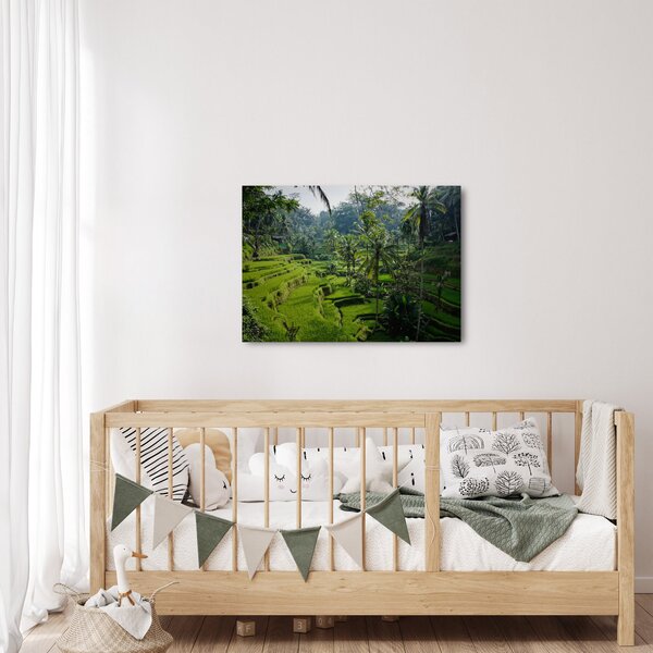 Obraz ryžových terás Tegalalang, Bali (70x50 cm)