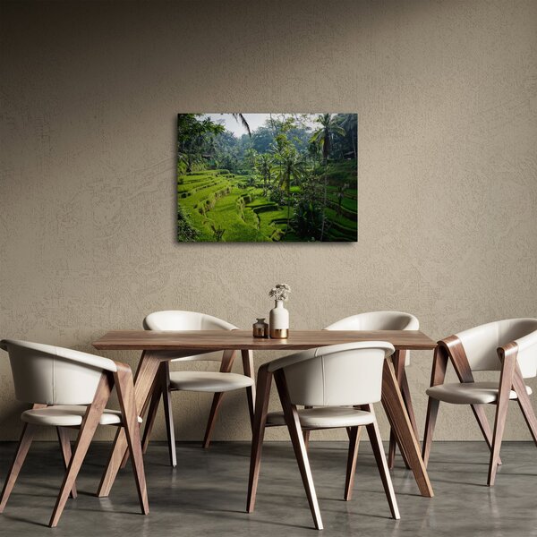 Obraz ryžových terás Tegalalang, Bali (70x50 cm)