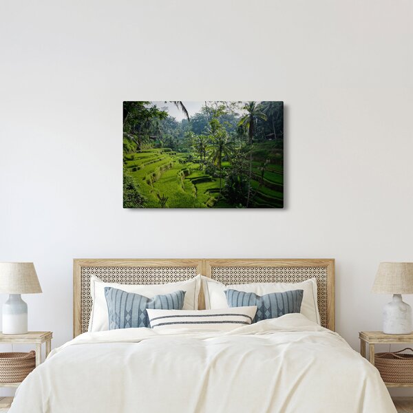 Obraz ryžových terás Tegalalang, Bali (90x60 cm)