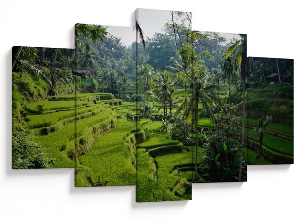 Obraz ryžových terás Tegalalang, Bali (150x105 cm)
