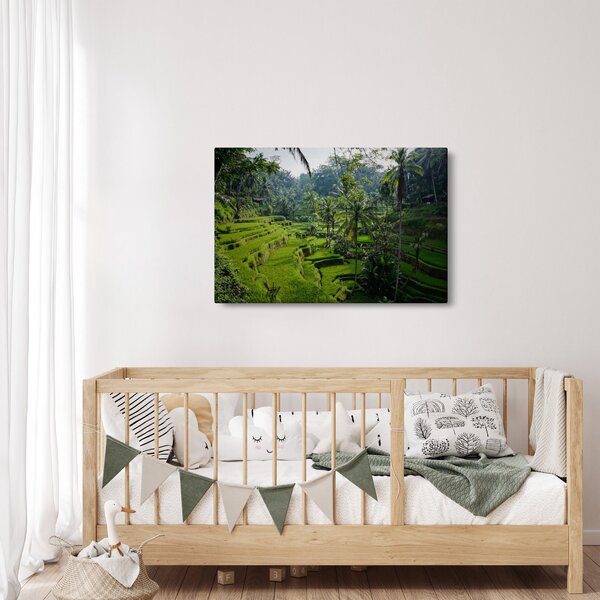 Obraz ryžových terás Tegalalang, Bali (90x60 cm)