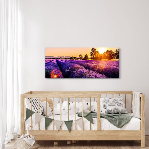 Obraz levanduľového pole, Provence (120x50 cm)