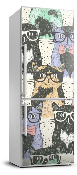 Nálepka fototapeta chladnička Mačky v okuliaroch