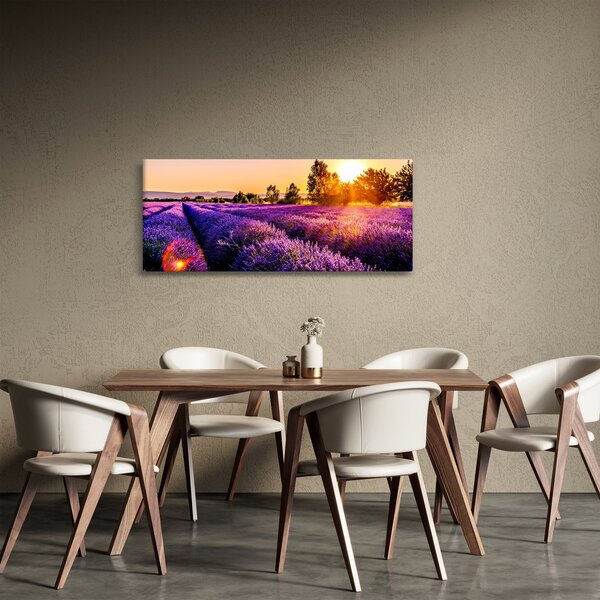 Obraz levanduľového pole, Provence (120x50 cm)