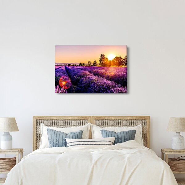 Obraz levanduľového pole, Provence (90x60 cm)