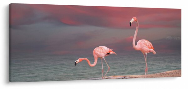Obraz plameniakov (120x50 cm)