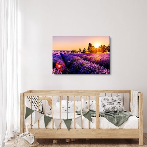 Obraz levanduľového pole, Provence (90x60 cm)