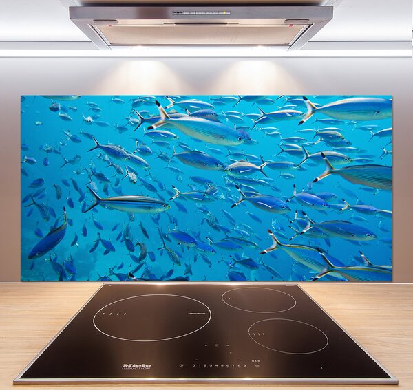 Panel do kuchyne Koralové ryby pl-pksh-120x60-f-39421860