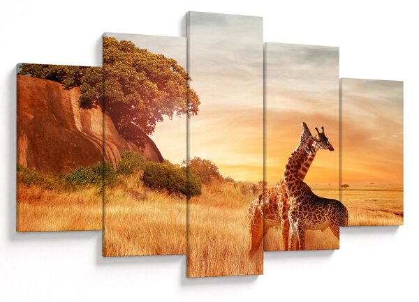 Obraz - Žirafy v Afrike (150x105 cm)