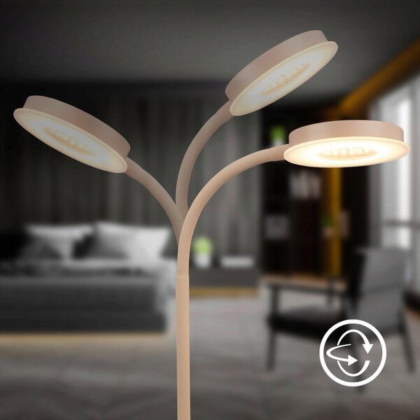 STOLNÁ LED LAMPA, dotykový stmievač, 13/55,5 cm - Interiérové svietidlá