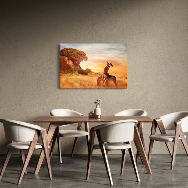 Obraz - Žirafy v Afrike (90x60 cm)