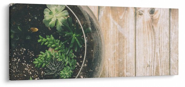 Obraz sukulentov v skle (120x50 cm)
