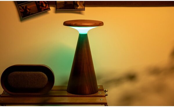 LED stolová lampa v tmavoprírodnej farbe s dreveným tienidlom (výška 21 cm) Sylva – Gingko