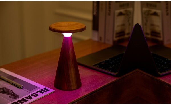 LED stolová lampa v tmavoprírodnej farbe s dreveným tienidlom (výška 21 cm) Sylva – Gingko
