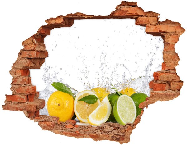 Fototapeta diera na stenu 3D nálepka Citrusové plody a voda