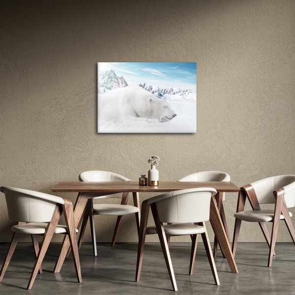 Obraz - Ľadový medveď (70x50 cm)