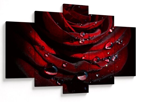 Obraz - Detail ruže (150x105 cm)