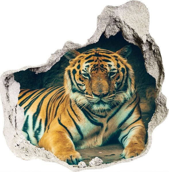Samolepiaca nálepka Tiger cave nd-p-121530926