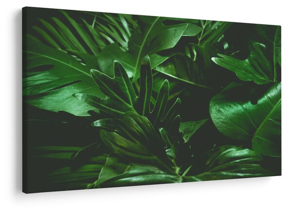 Obraz - Palmové listy (90x60 cm)