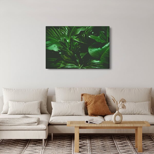 Obraz - Palmové listy (90x60 cm)