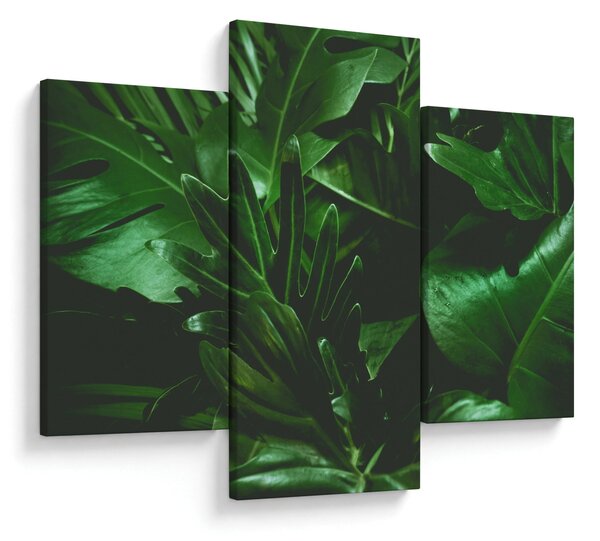 Obraz - Palmové listy (90x60 cm)