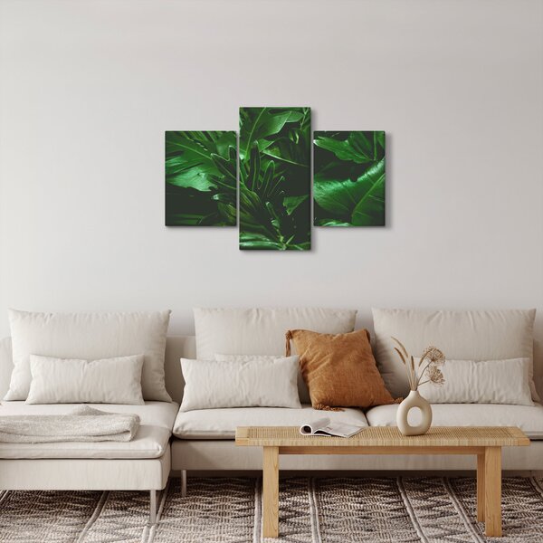 Obraz - Palmové listy (90x60 cm)