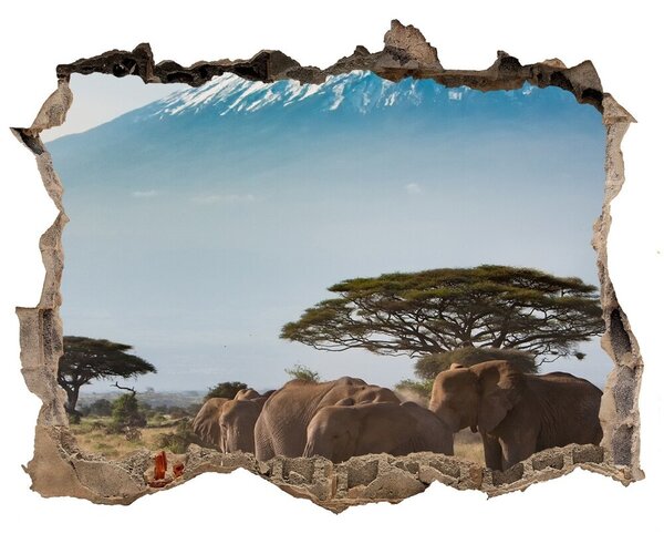 Díra 3D fototapeta Slony kilimandžáro nd-k-100418826