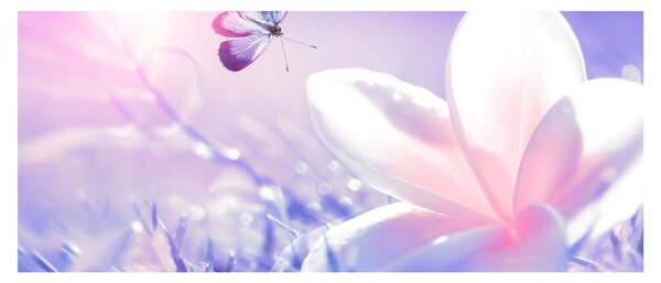 Obraz - Motýľ prilietajúci na kvet (120x50 cm)