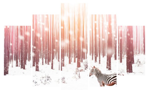 Obraz - Zebra v zasneženom lese (150x105 cm)
