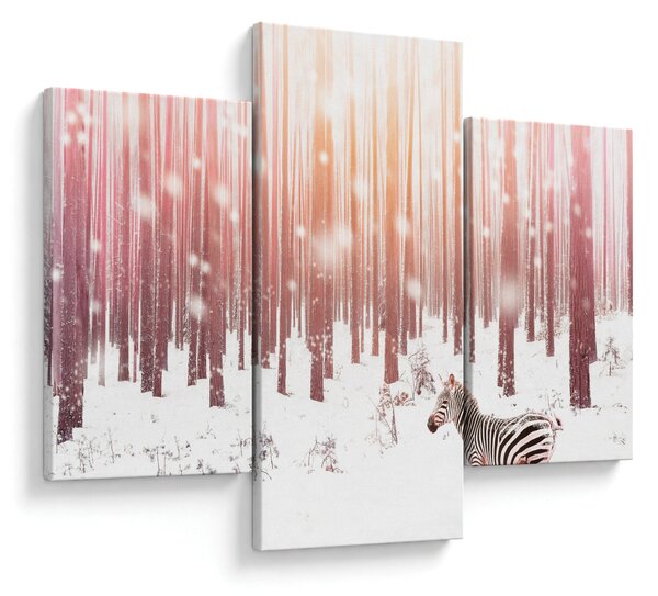 Obraz - Zebra v zasneženom lese (90x60 cm)