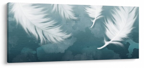 Obraz - Biela pierka (120x50 cm)