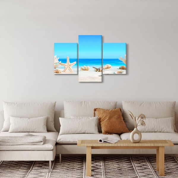 Obraz - Zátišie s mušľami (90x60 cm)