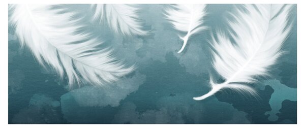 Obraz - Biela pierka (120x50 cm)