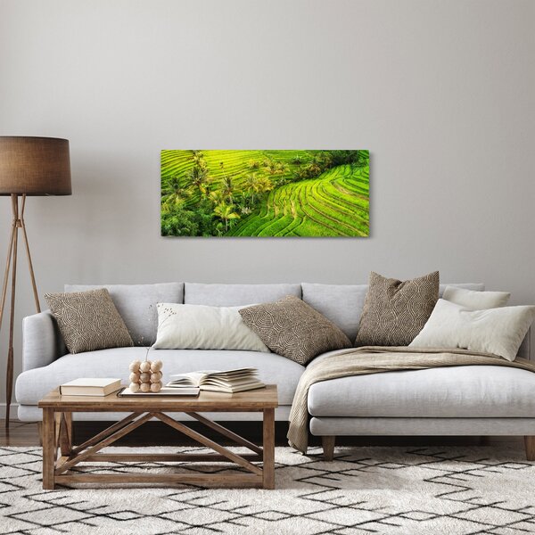 Obraz - Ryžové terasy (120x50 cm)