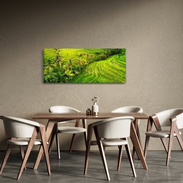 Obraz - Ryžové terasy (120x50 cm)