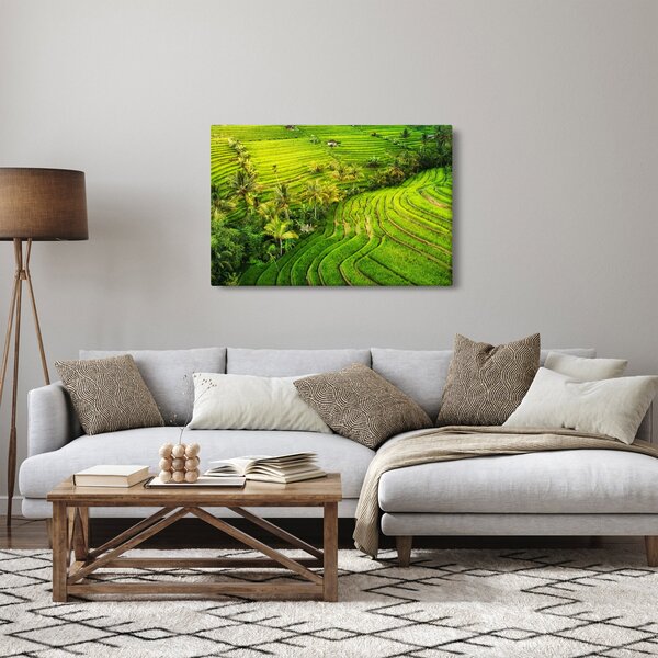 Obraz - Ryžové terasy (90x60 cm)