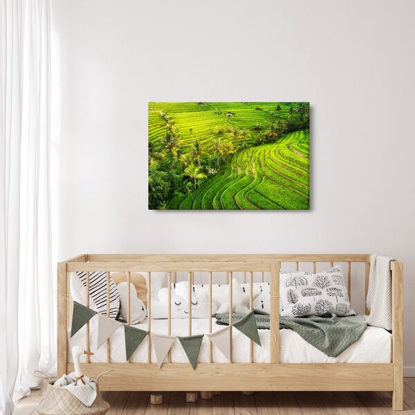 Obraz - Ryžové terasy (90x60 cm)