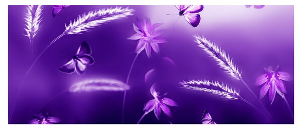 Obraz - Motýlia lúka (120x50 cm)