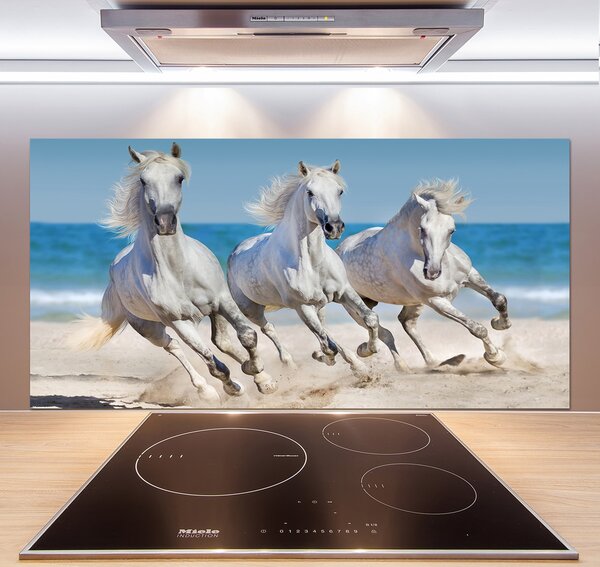 Panel do kuchyne Biele kone pláž pl-pksh-120x60-f-95257914