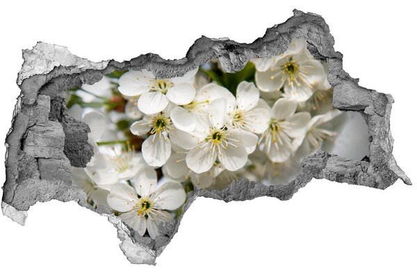 Samolepiaca diera nálepka Čerešňové kvety nd-b-85335086