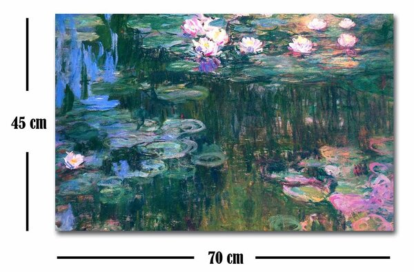 ASIR Reprodukcia obrazu na plátne VODNÉ LILIE C. MONET 45 cm
