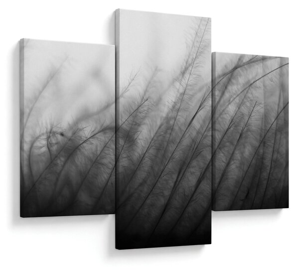 Obraz - Tráva vo vetre (90x60 cm)