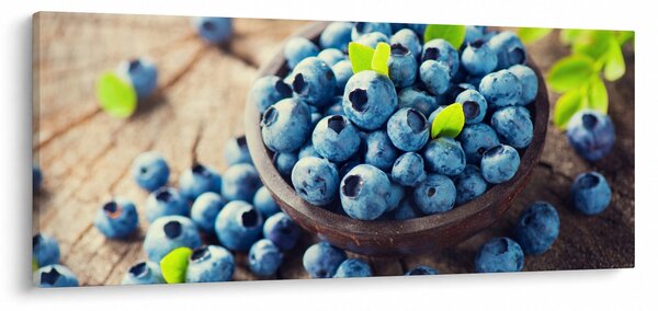 Obraz - Čučoriedky (120x50 cm)