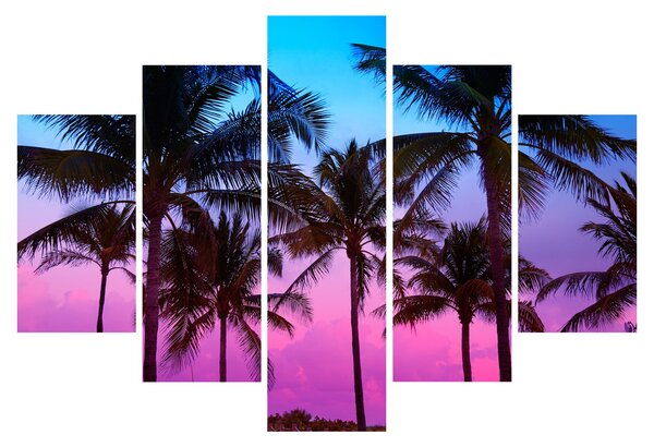 Obraz - Palmy v Miami (150x105 cm)
