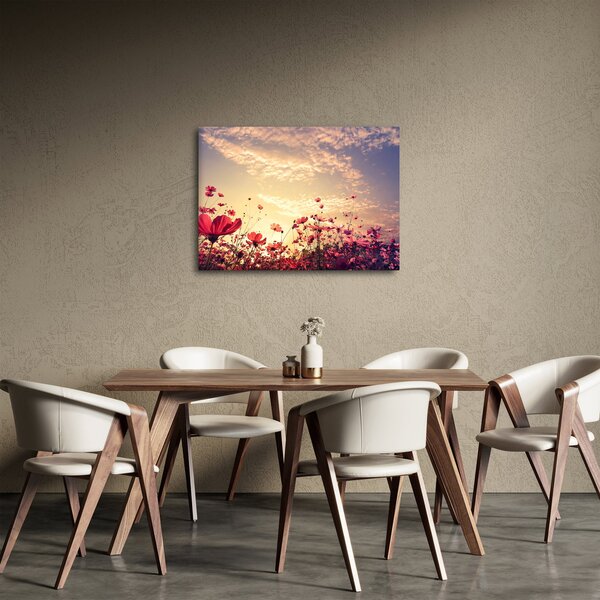Obraz - Lúka s kvetmi (70x50 cm)