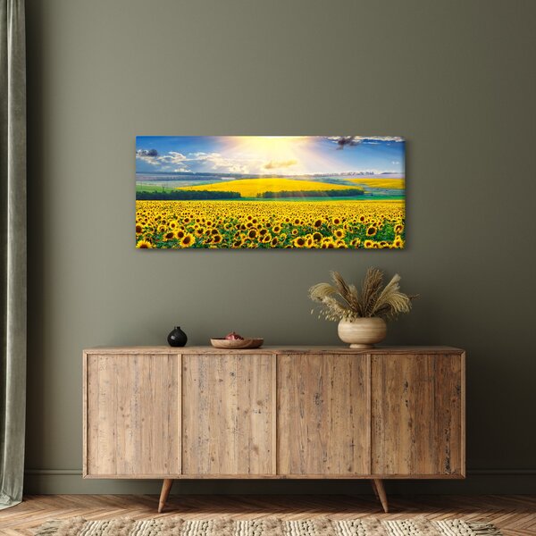 Obraz - Pole slnečníc (120x50 cm)